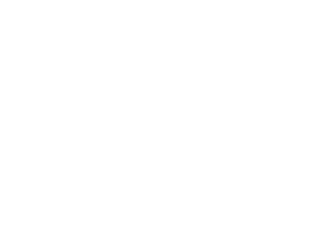 Kariéra